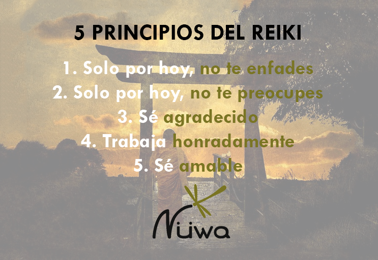 5 Principios Reiki